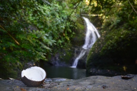 Wasserfall mit Kokosnuss